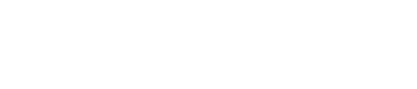 Brian Hamilton Foundation logo